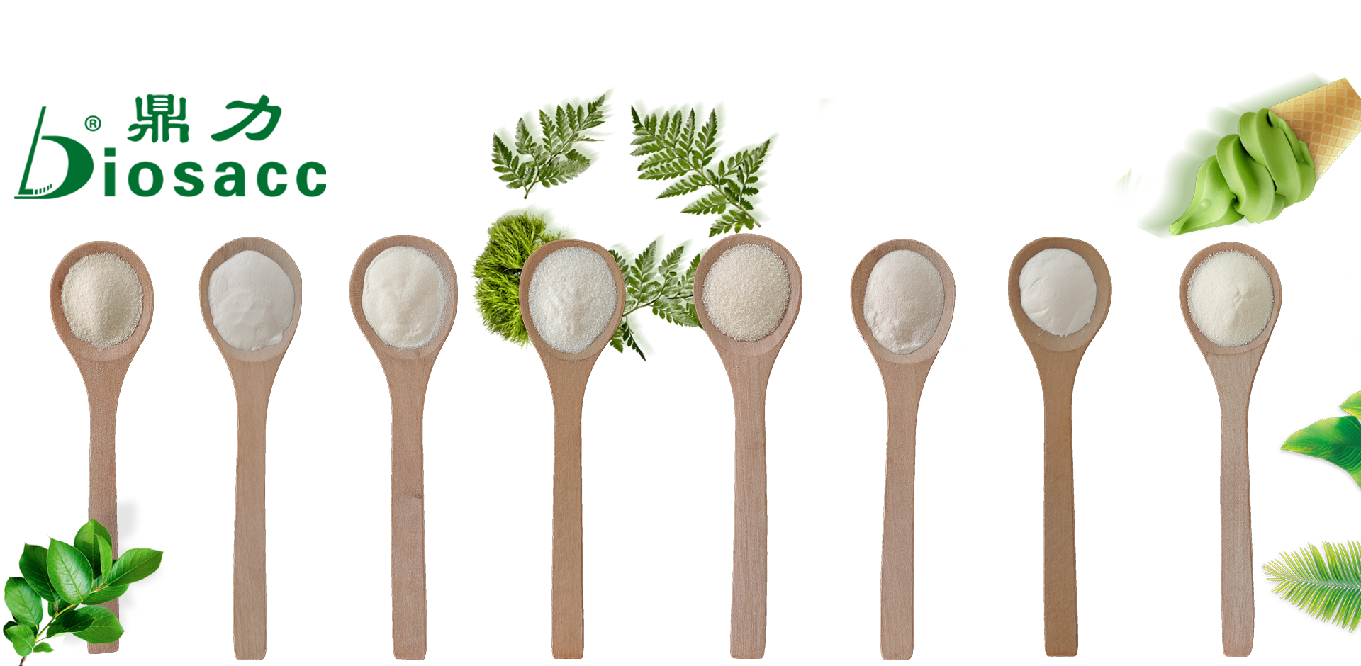 Dingli Biodegraded Materials Co., Ltd.