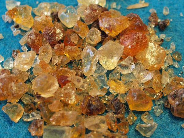 Understand the extraction process of gum arabic