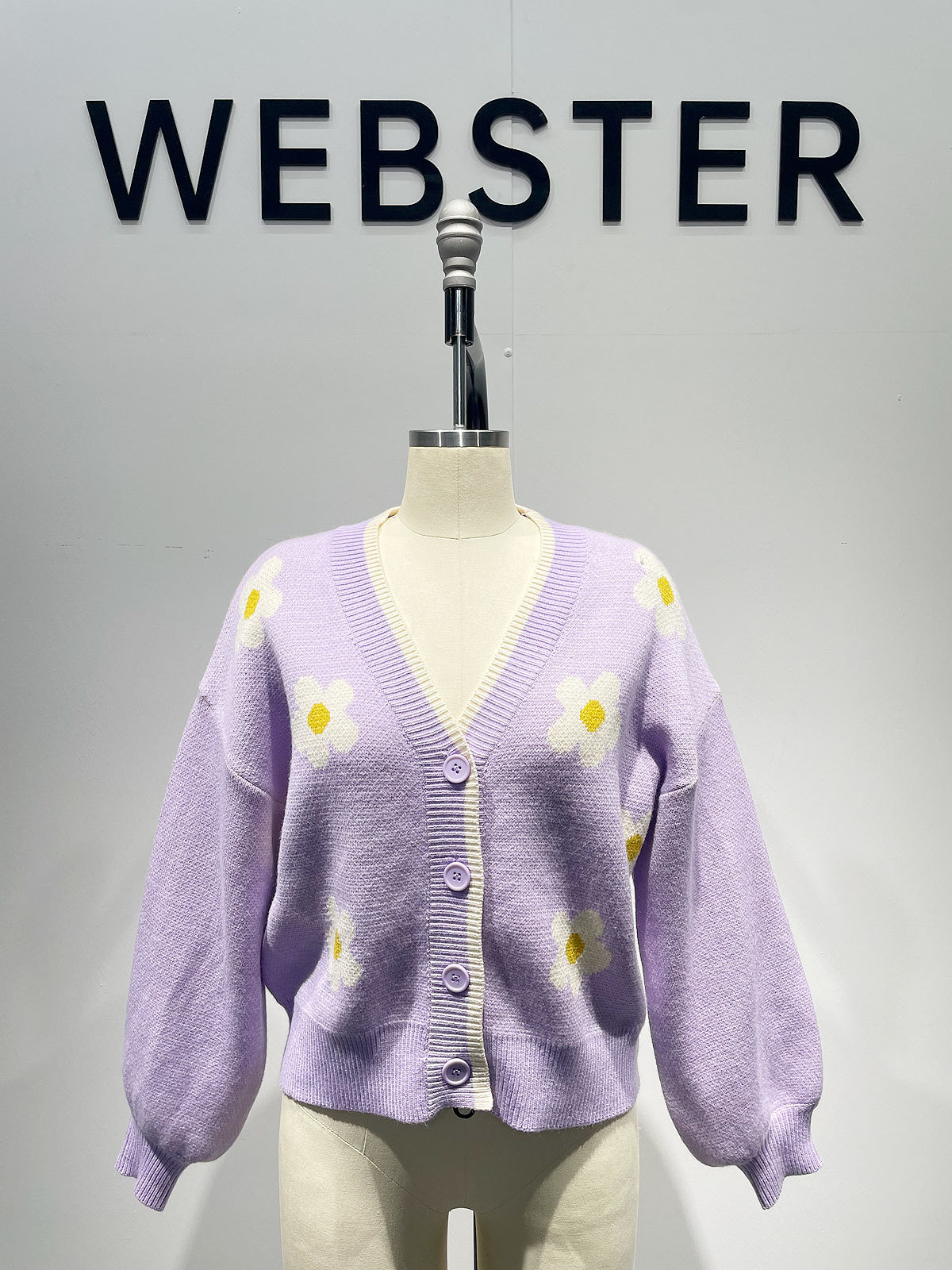 WBS001