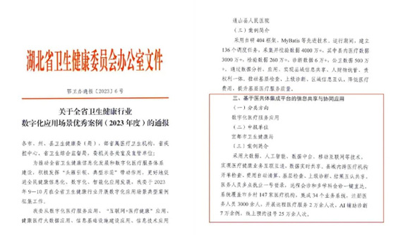 宜昌唯一！宜都经验！全省推广！ 医共体信息化建设项目