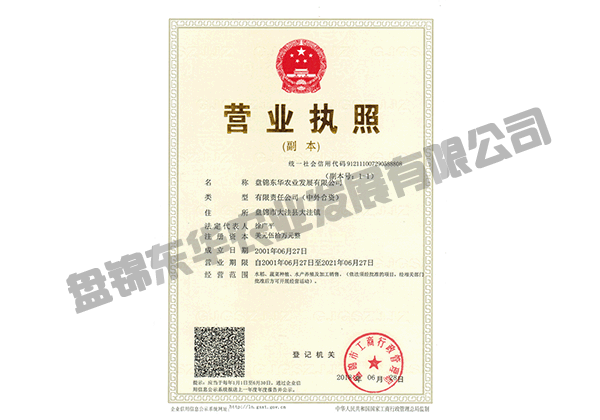 營(yíng)業(yè)執(zhí)照