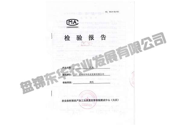 檢驗報告