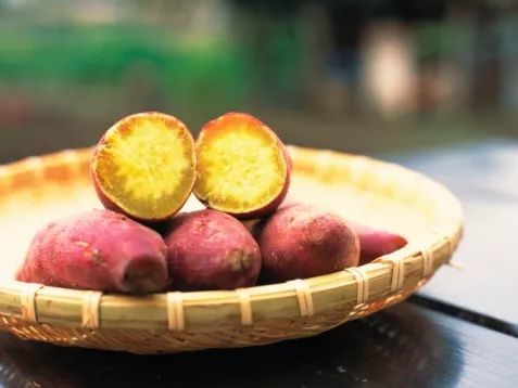 東華農(nóng)業(yè)