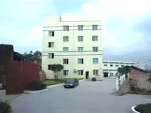 重庆91麻豆视频