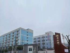 重庆91麻豆视频