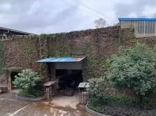 图片名称