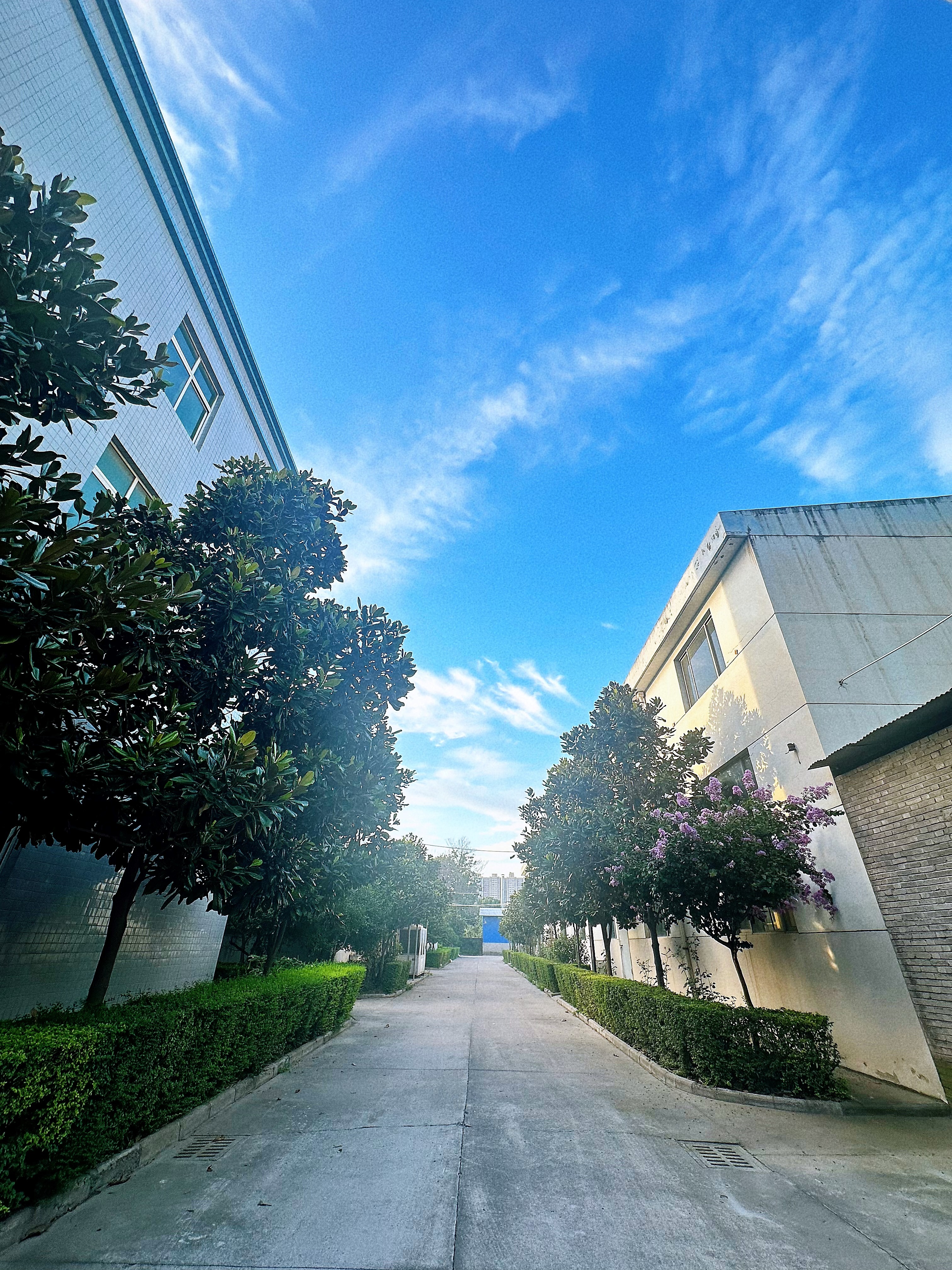 Plant environment