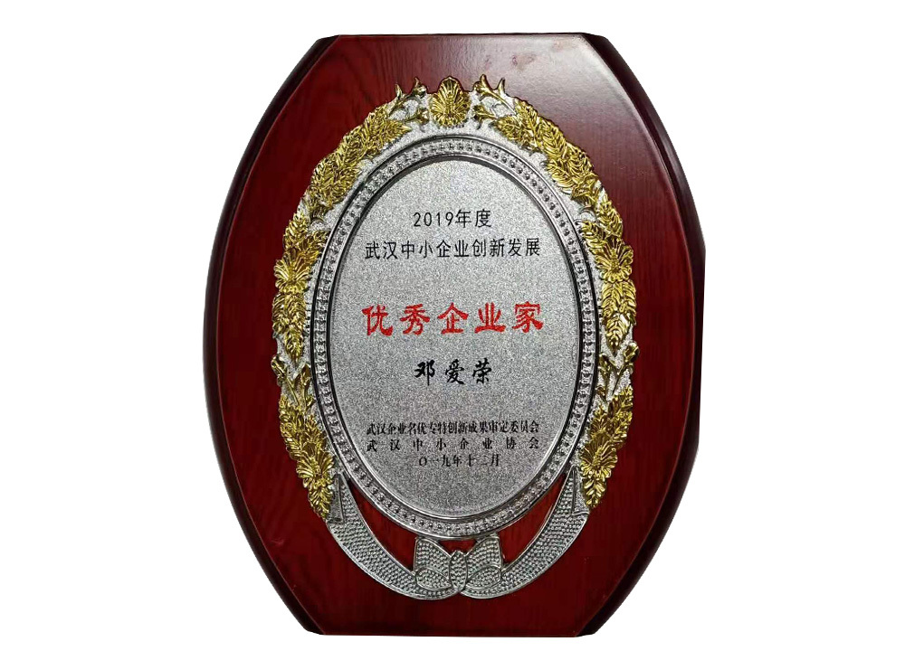 邓爱荣2019年度武汉中小企业创新发展优秀企业家