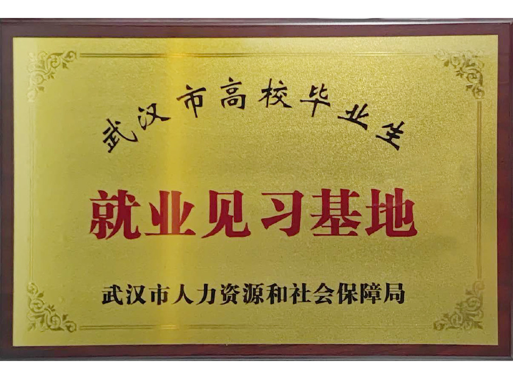 武汉市高校毕业生就业见习基地
