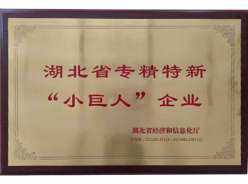 湖北省专精特新“小巨人”企业