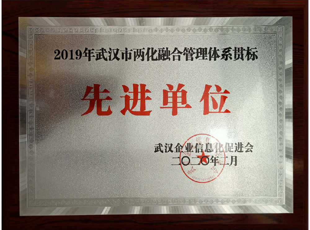 2019年两化贯标先进单位