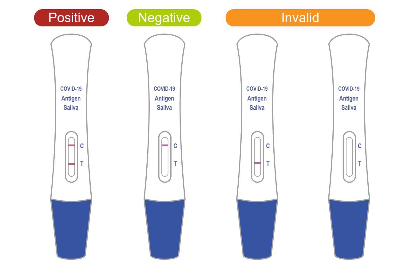 SARS-COV-2 Nucleocapsid (N)Antigen Rapid Detection Kit (Colloidal gold method) — Saliva Test (Lollipop style)