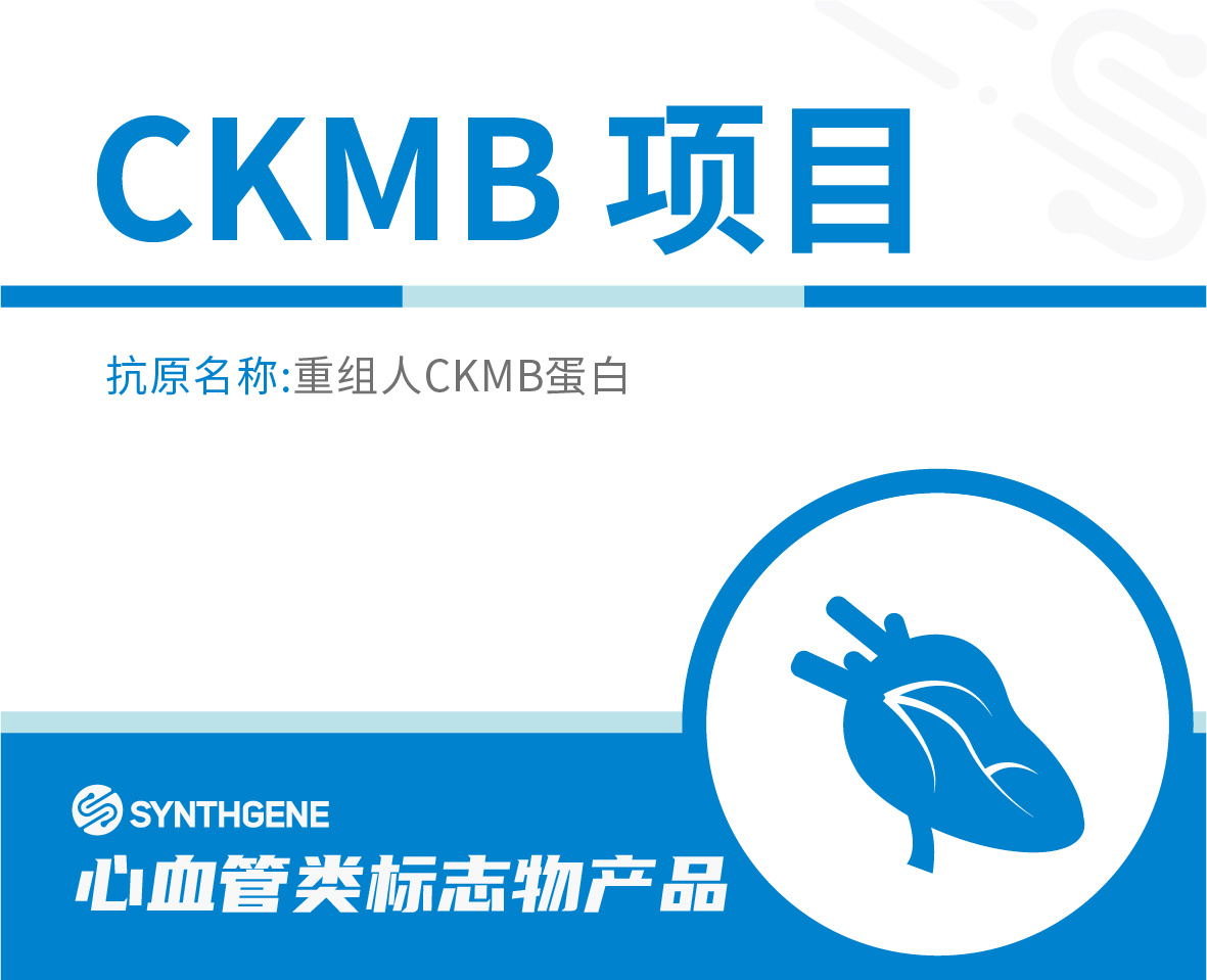 CKMB项目