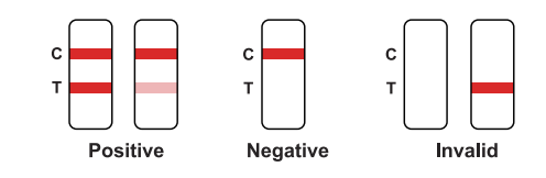 Dengue lgG/lgM/NS1 Rapid Test Kit-Synthgene Medical