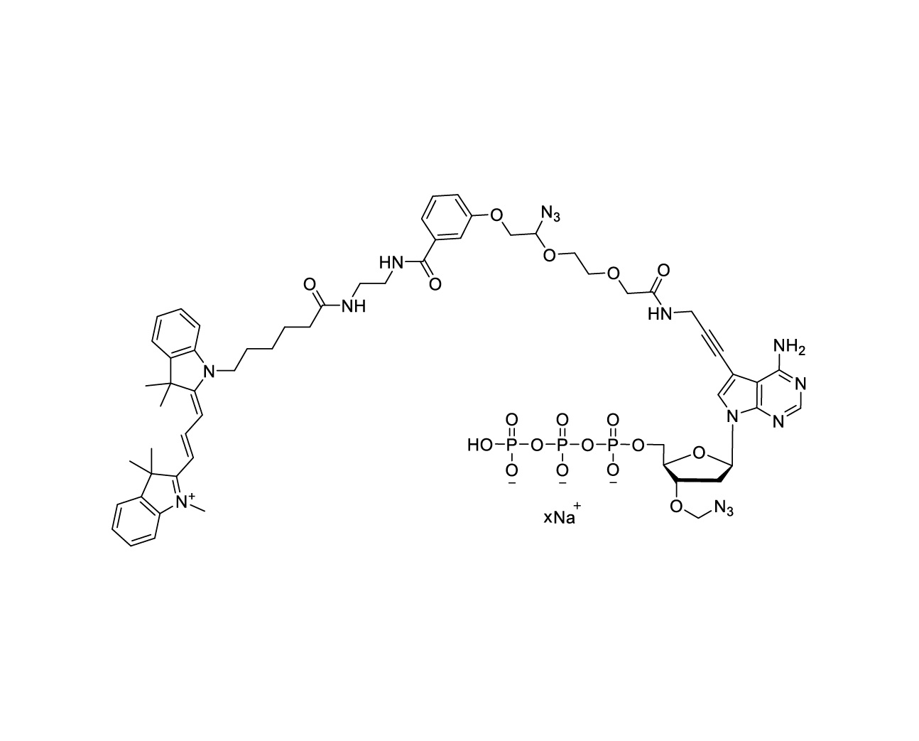 Cy3-linker-PA-3'-O-azidomethyl-dATP 10mM Sodium Solution