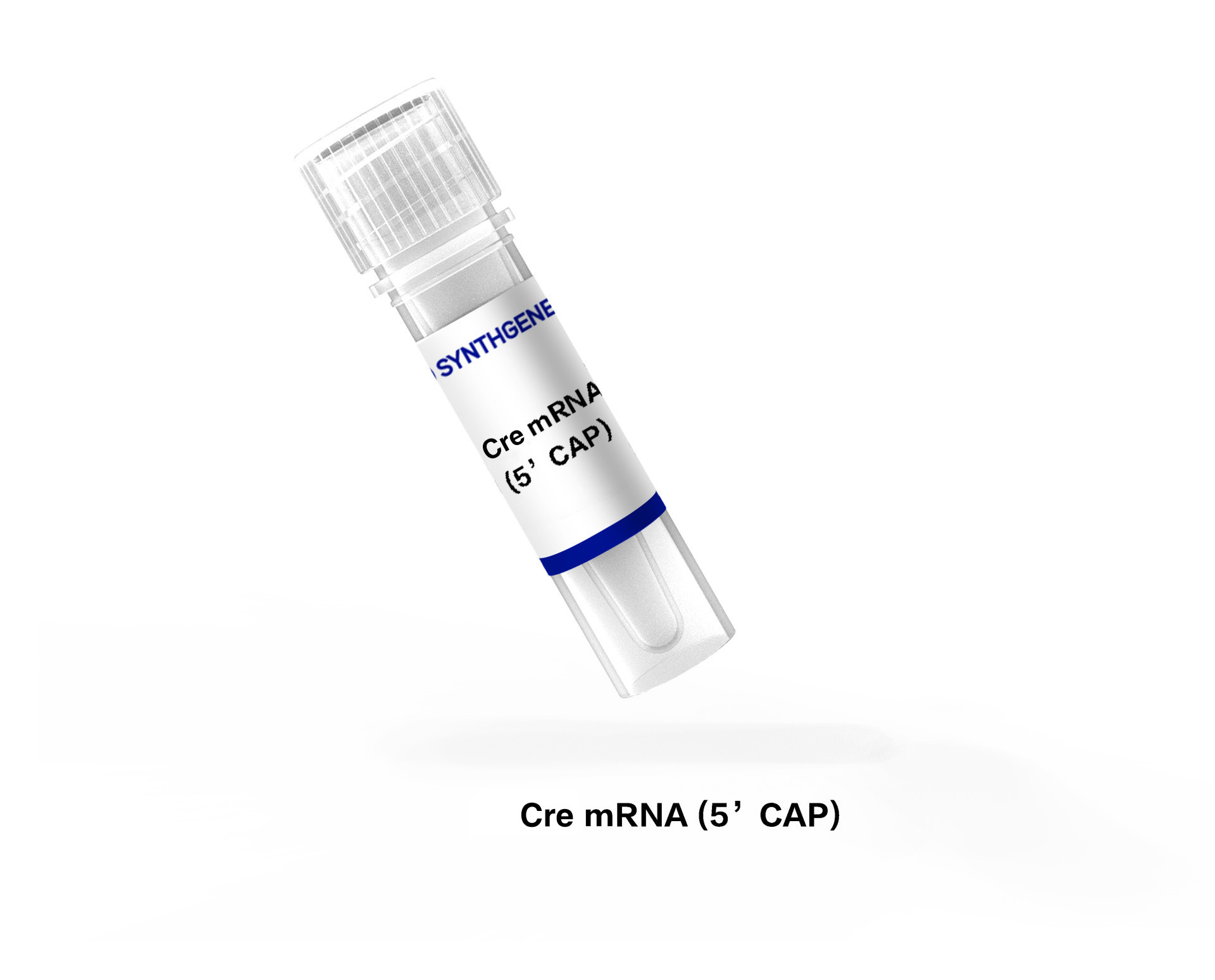 Cre mRNA (5'CAP)