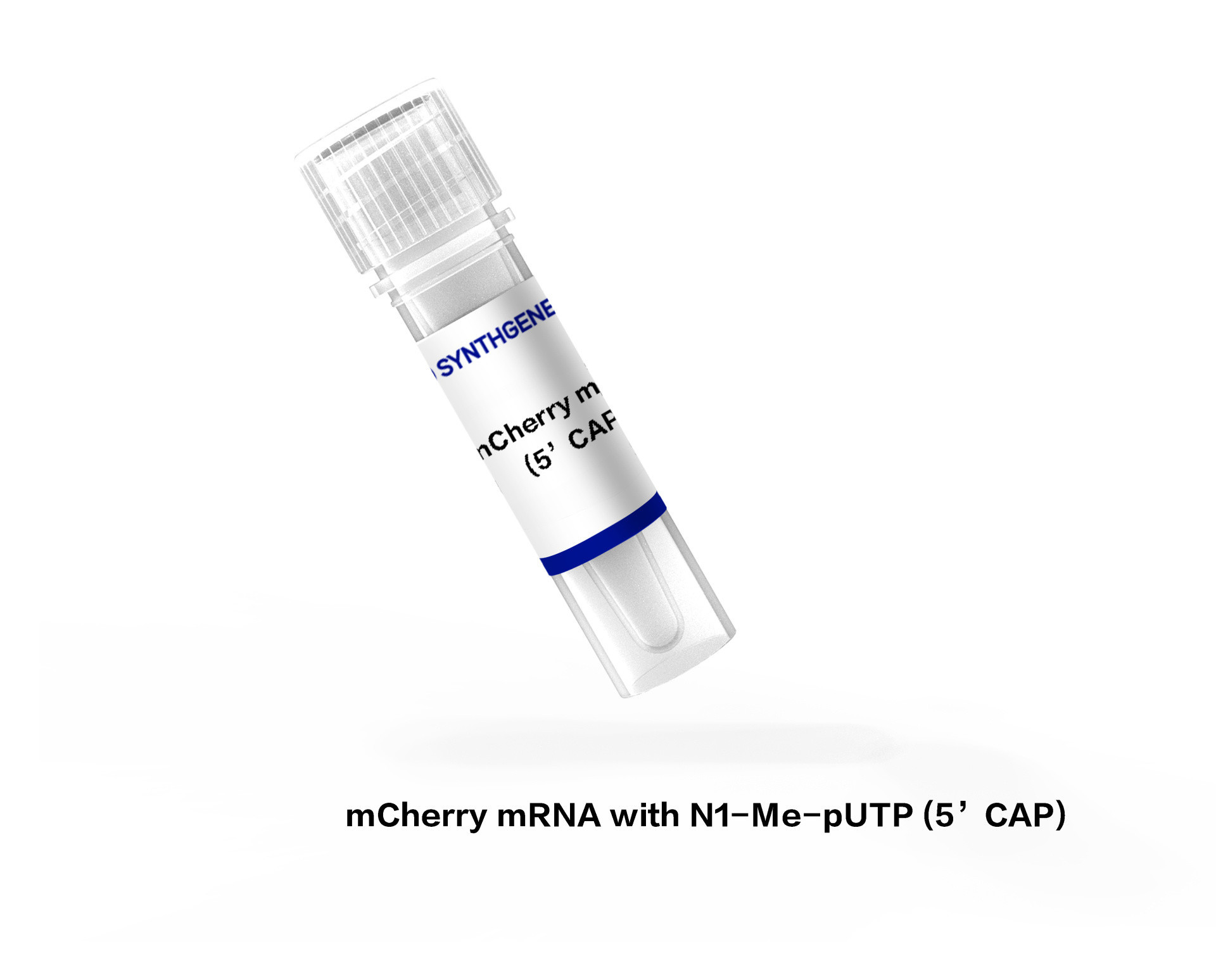 mCherry mRNA with N1-Me-pUTP (5’CAP)