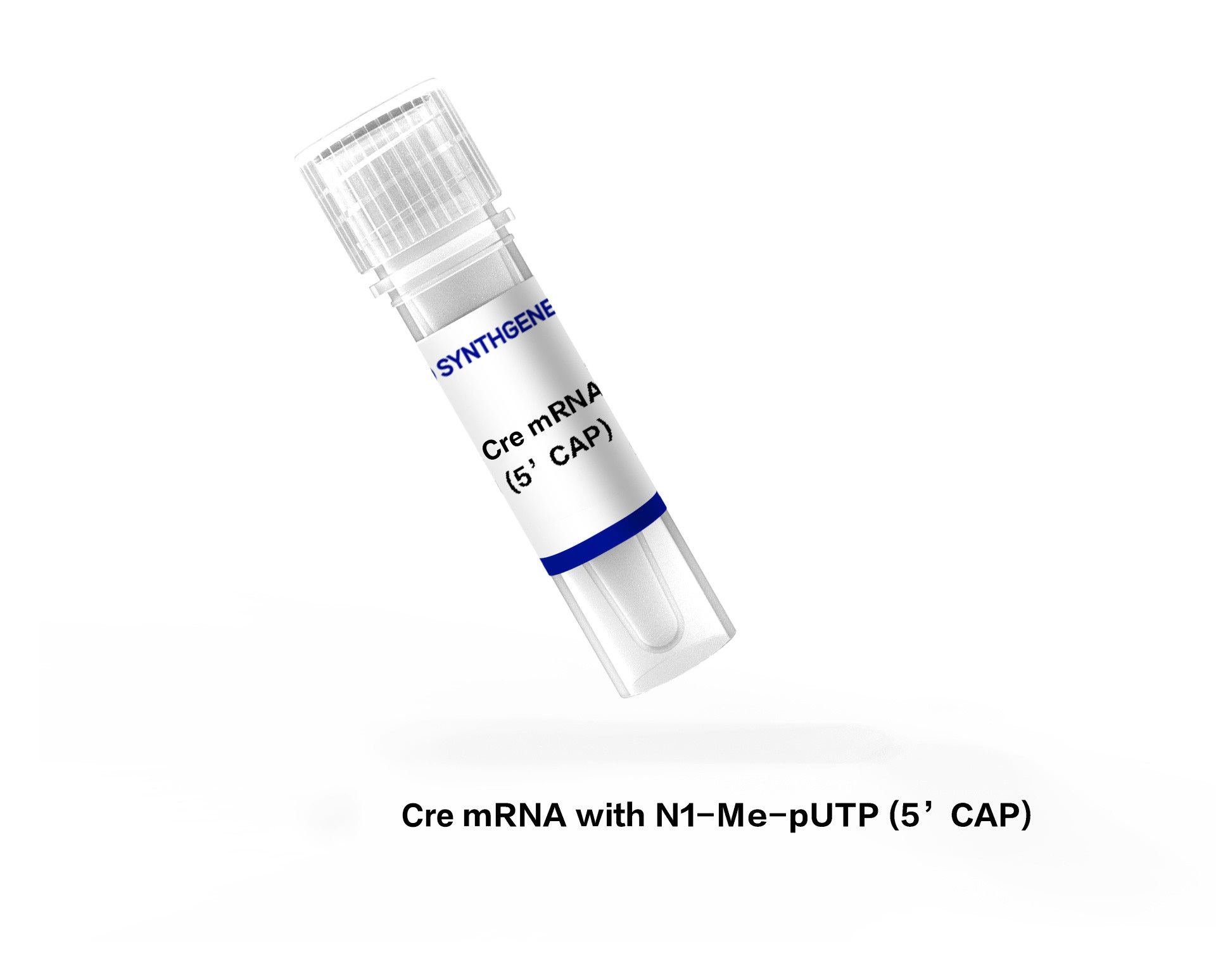 Cre mRNA with N1-Me-pUTP(5'CAP)