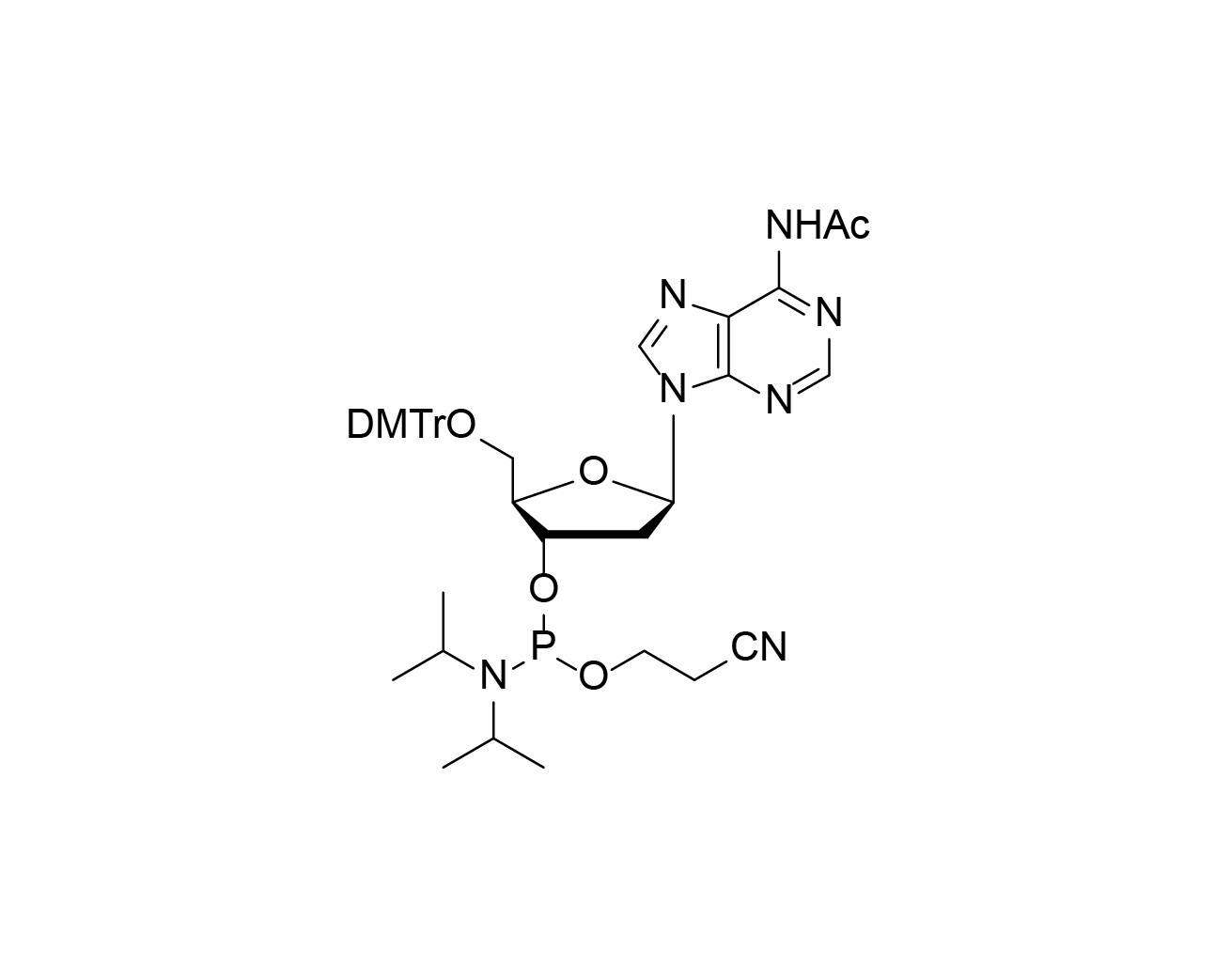 DMTr-dA(Ac)-3'-CE-Phosphoramidite