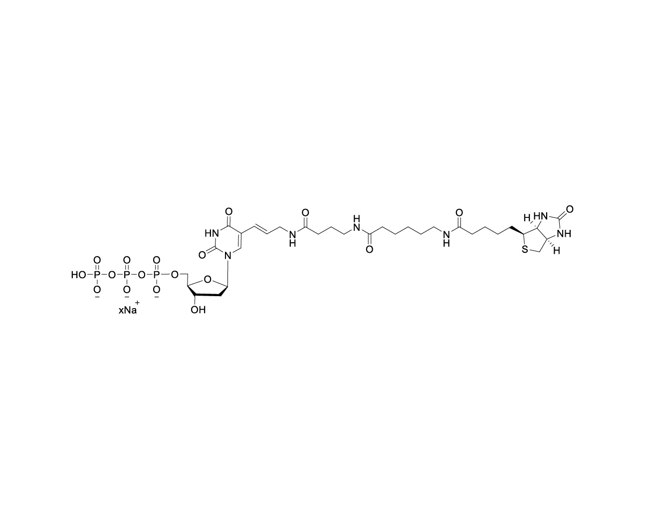 Biotin-16-dUTP 5mM Sodium Solution