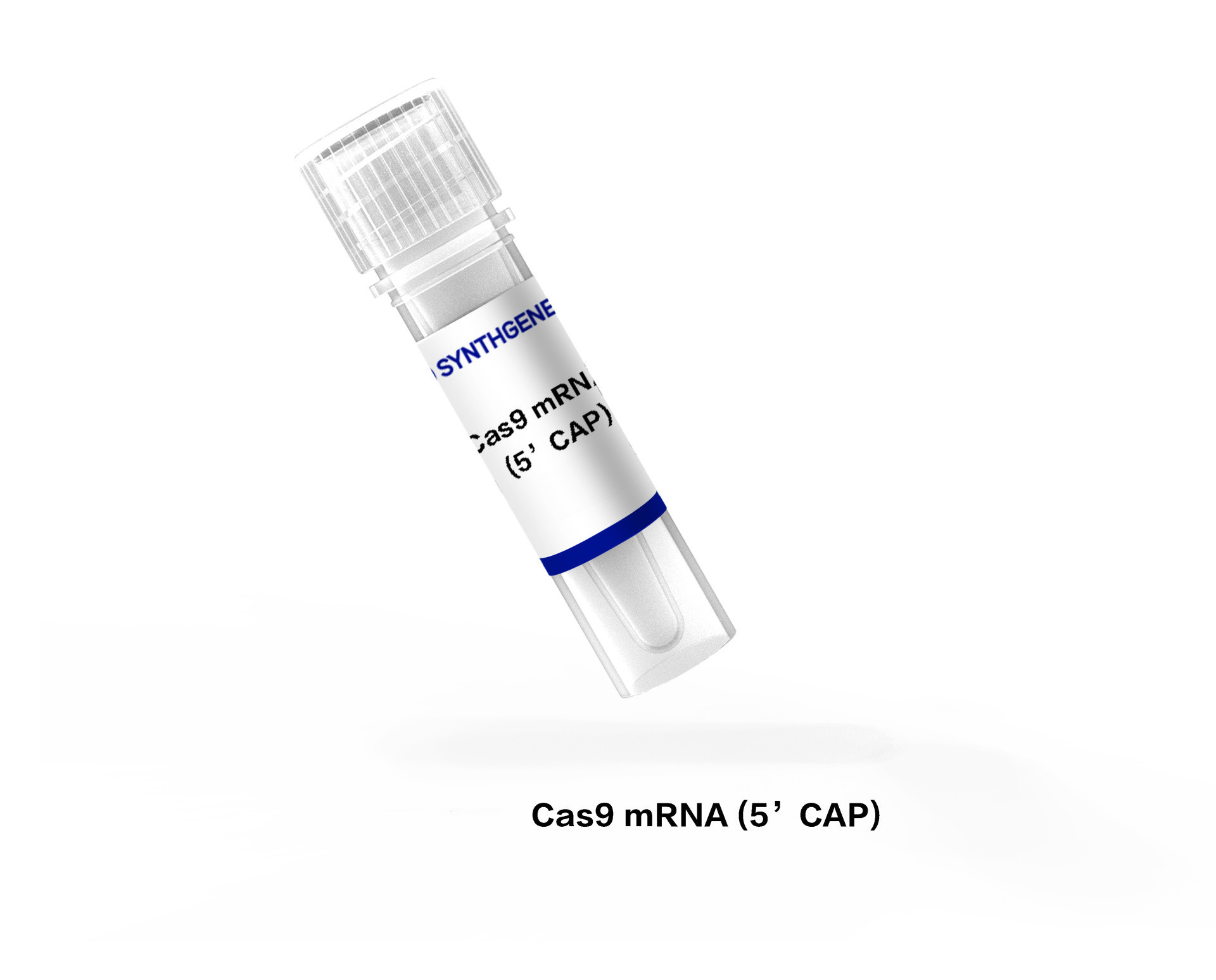 Cas9 mRNA (5’CAP)