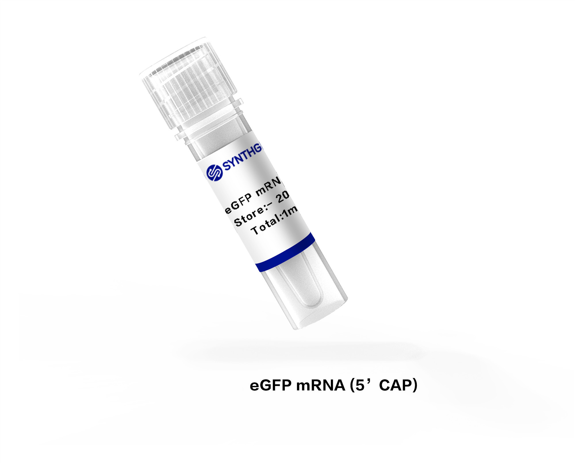 eGFP mRNA (5' CAP)