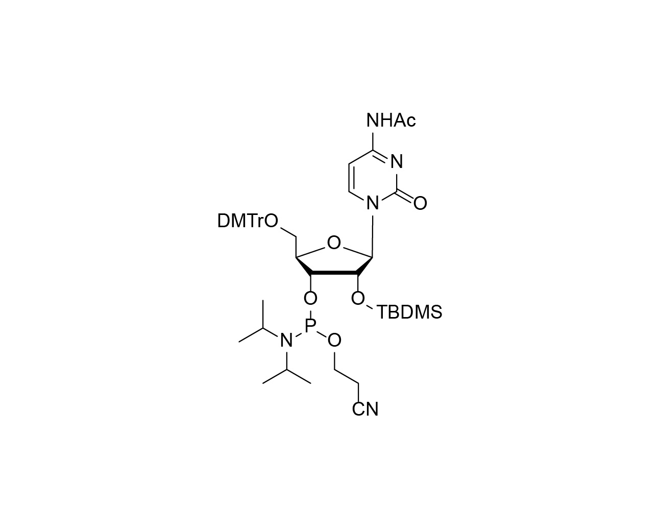 DMTr-2'-O-TBDMS-rC(Ac)-3'-CE -Phosphoramidite