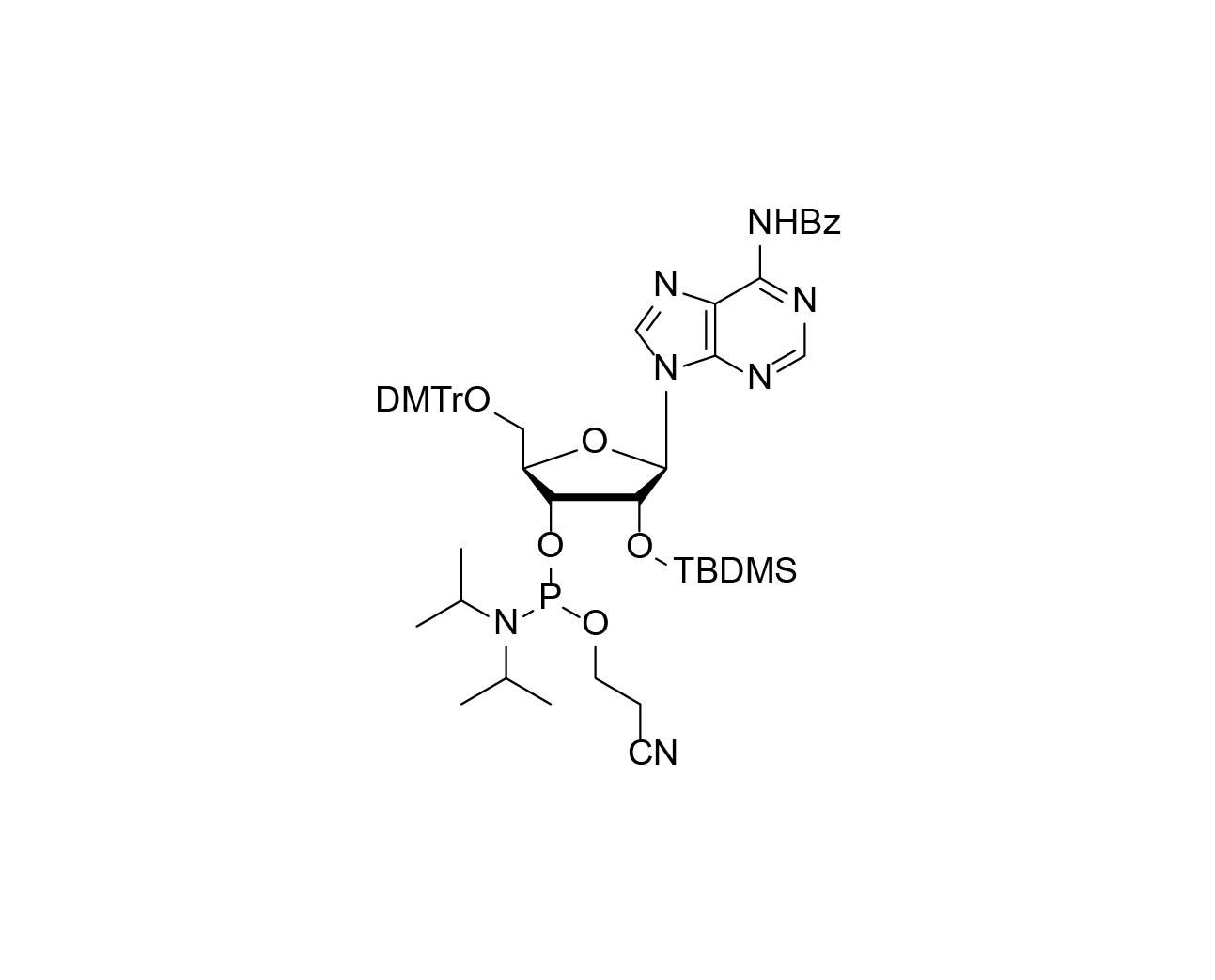 DMTr-2'-O-TBDMS-rA(Bz)-3'-CE-Phosphoramidite