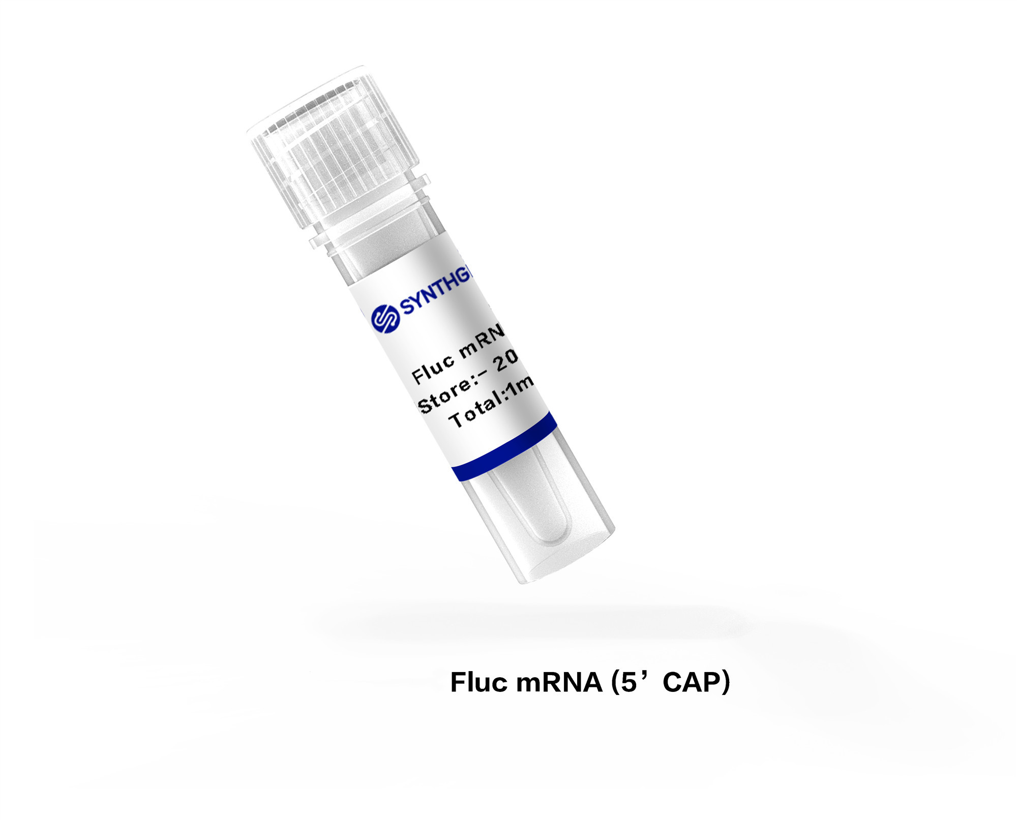 Fluc mRNA (5' CAP)