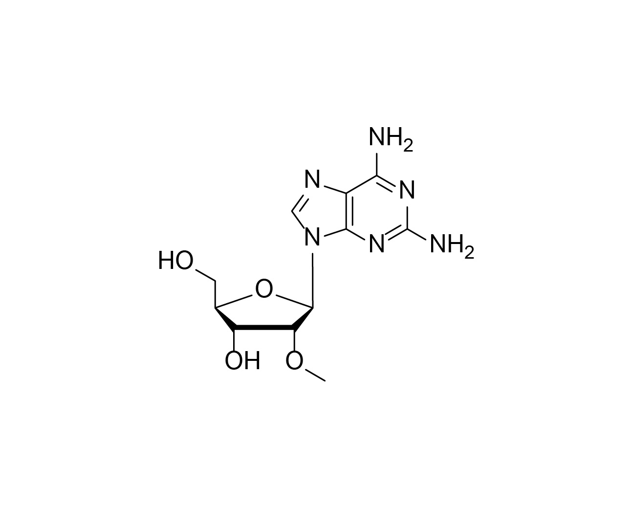 2'-O-Me-2-NH₂-rA