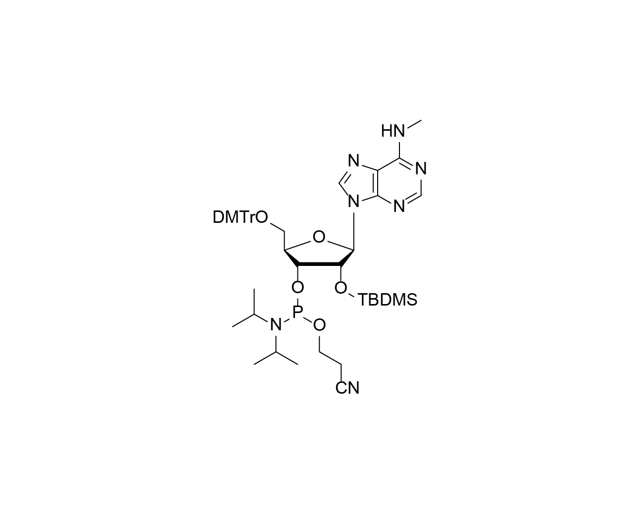 DMTr-2'-O-TBDMS-N6-Me-rA-3'-CE - Phosphoramidite