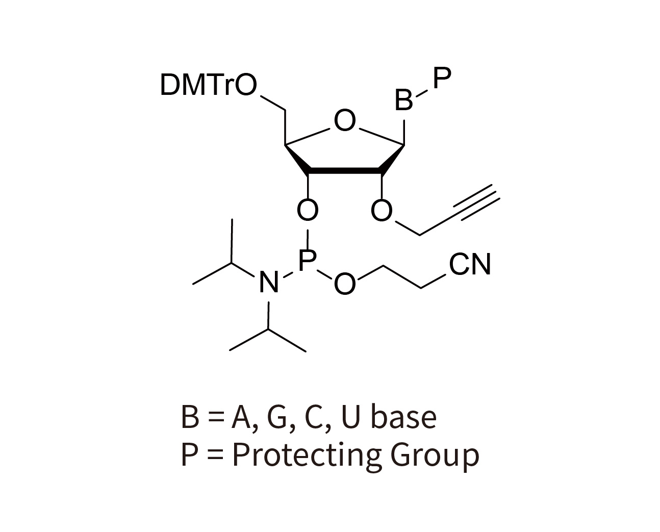 2'-O-Propargyl