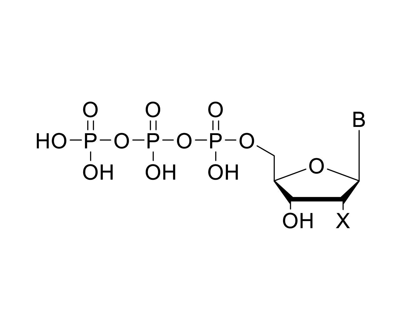 Modified Nucleotides