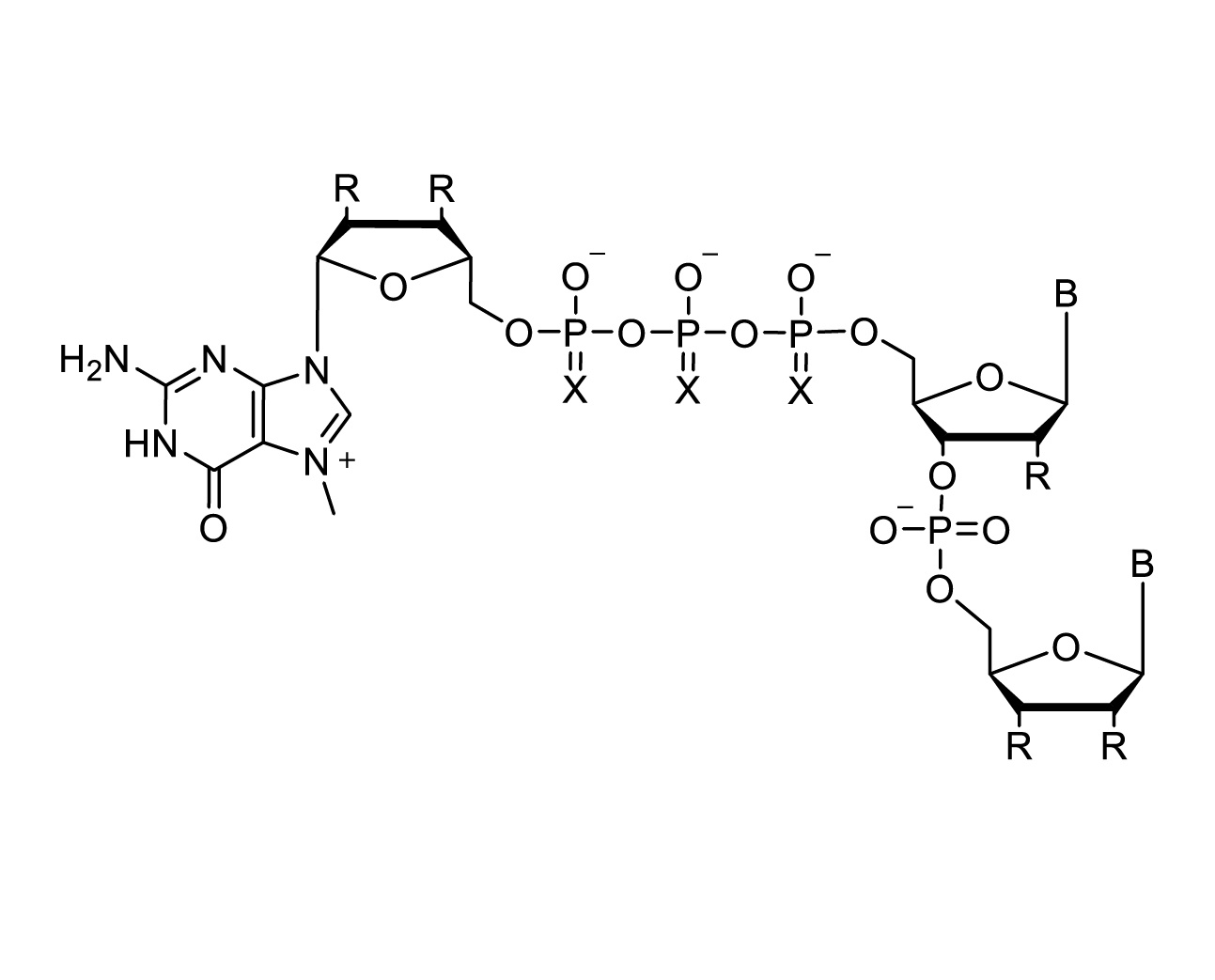 Cap analogs