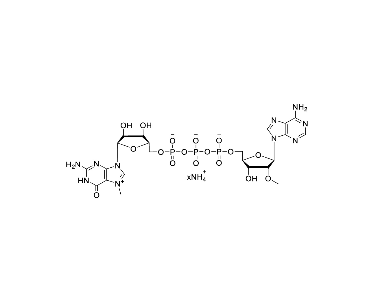 m7G(5')ppp(5')(2'OMeA) 100mM Ammonium Solution