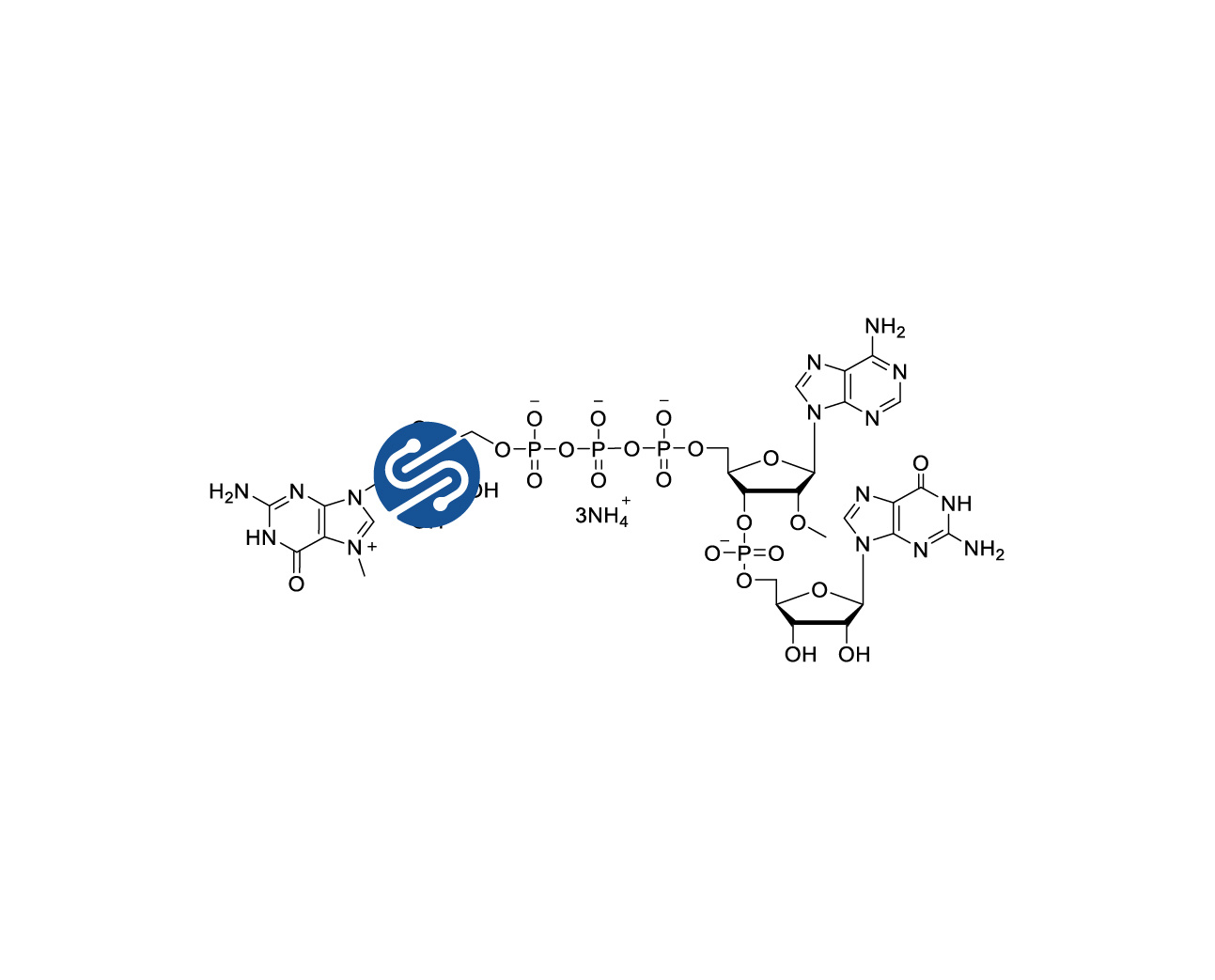CAP 7 m7G(HNA)(5')ppp(5')(2'OMeA)pG 100mM Ammonium Solution