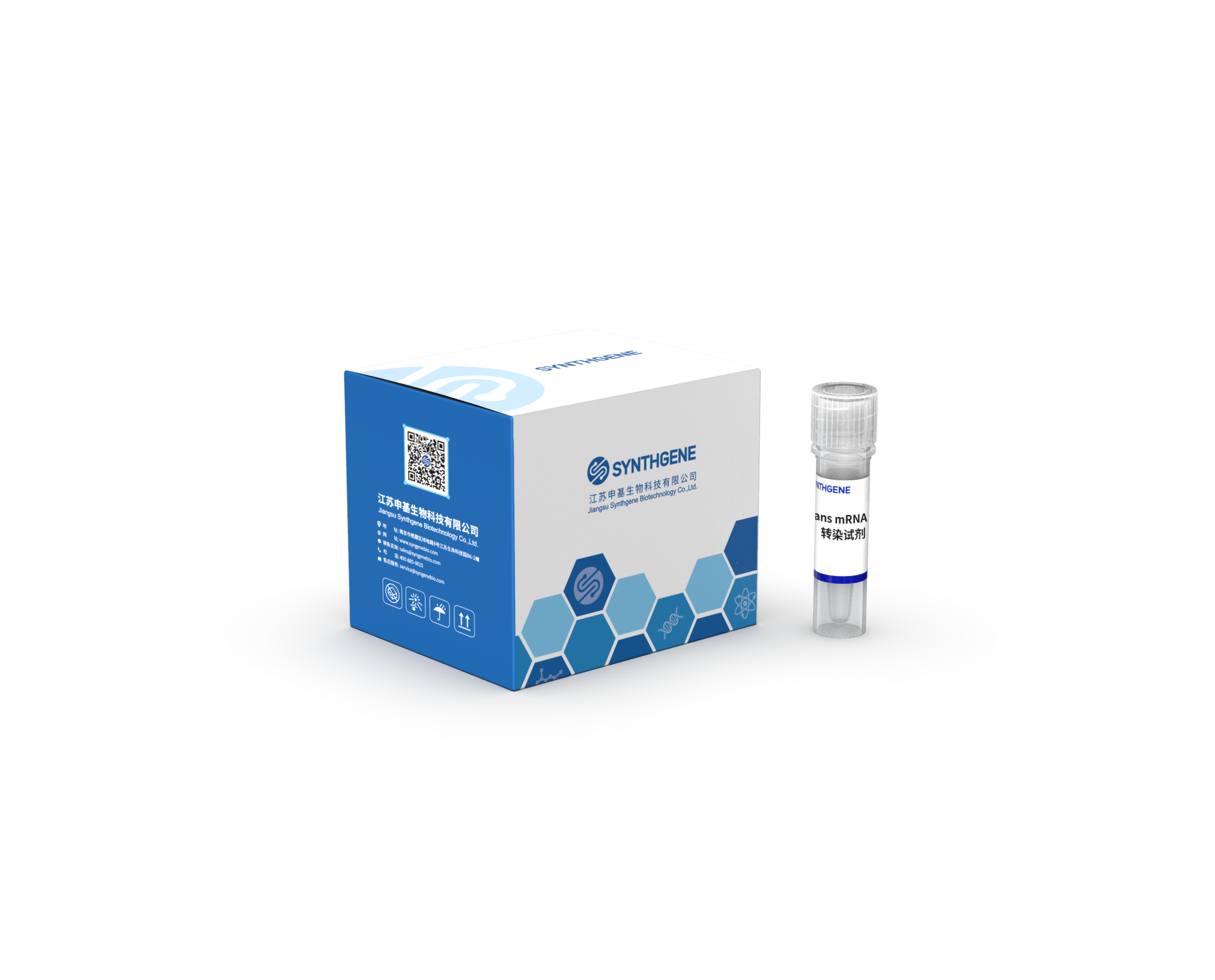 mRNA Easy Transfection Kit