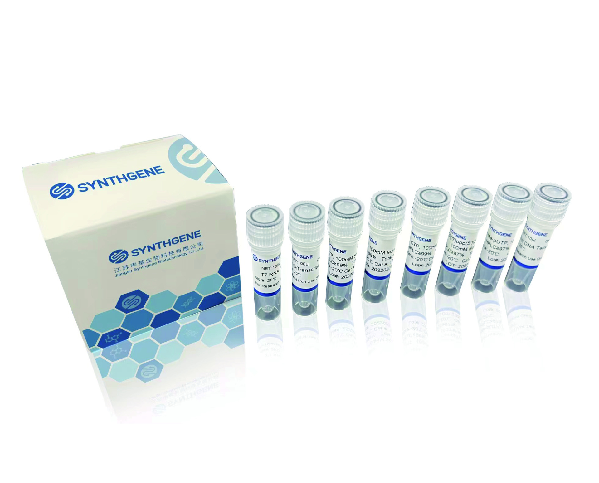 T7 Co-transcription RNA Synthesis Kit