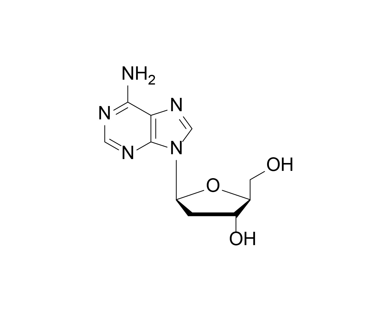 L-2'-dA