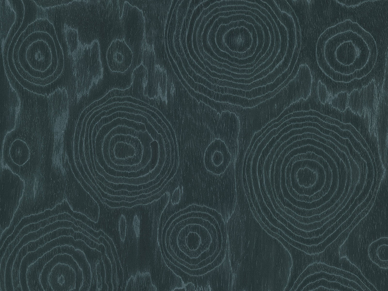 高定-973N