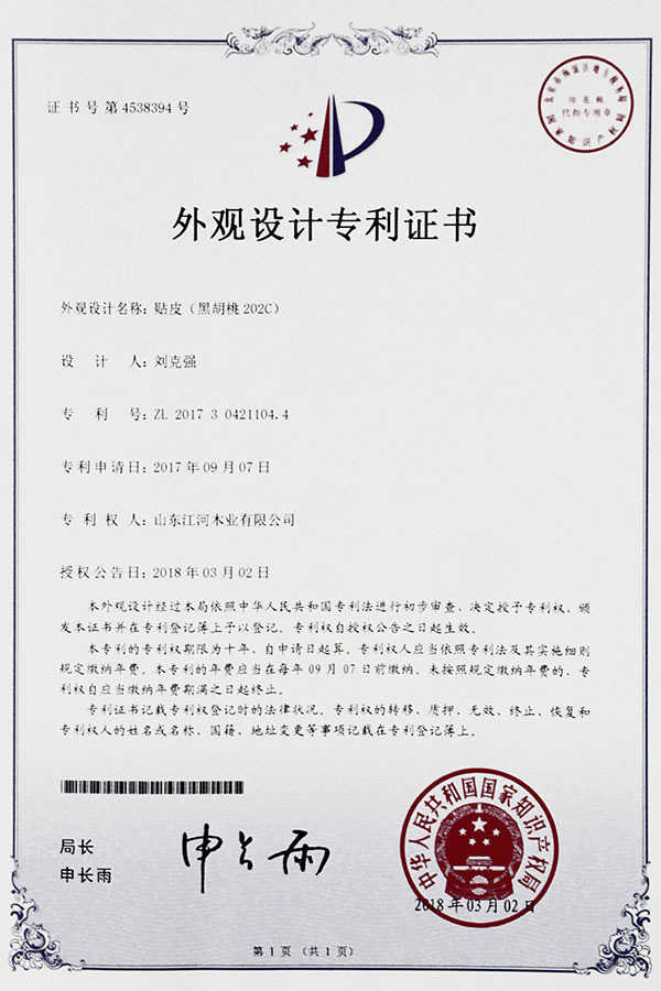 Design Patent Certificate Design Patent Certificate