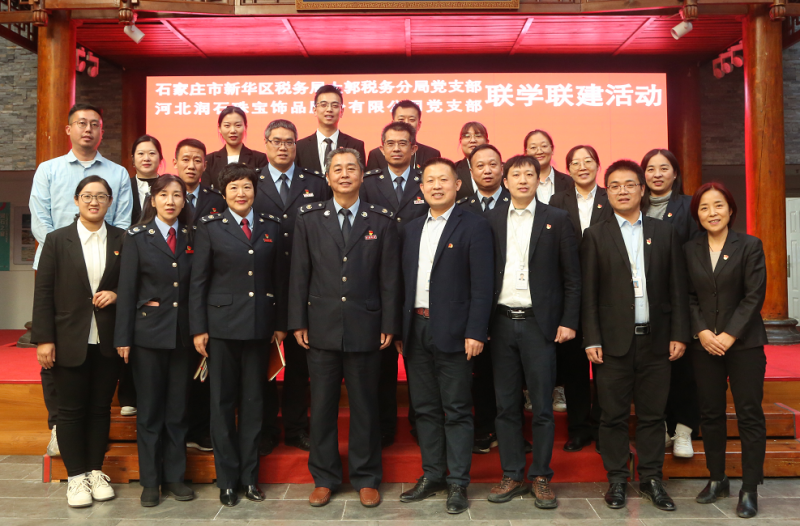 税企共建助力党建新征程 党建引领促进发展新篇章