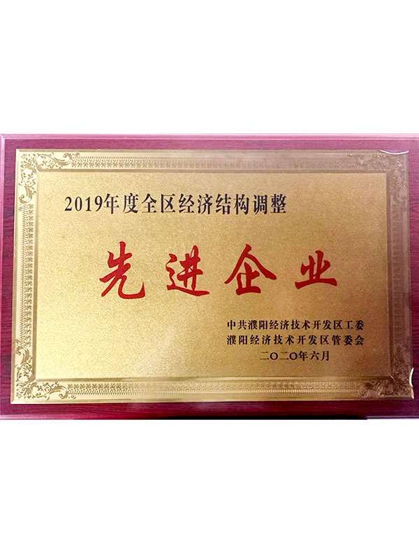 Advanced enterprises in economic adjustment Advanced enterprises in economic adjustment
