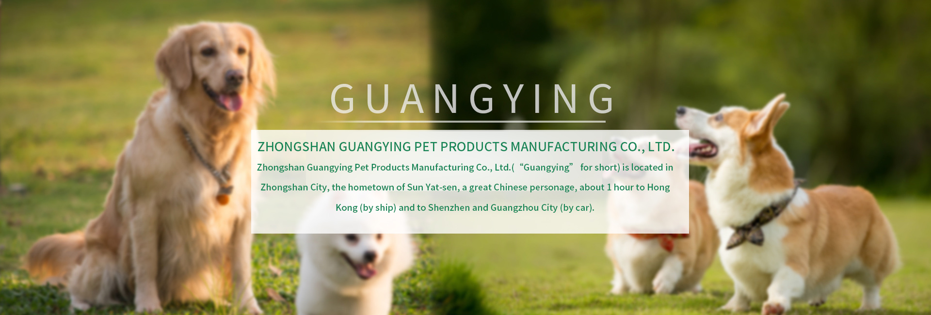 Zhongshan Guangying Pet Products Manufacturing Co., Ltd.