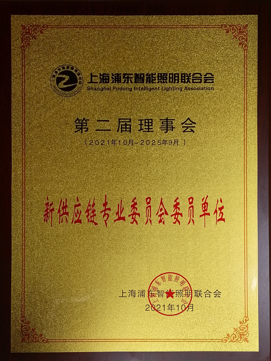 Member Unit of the Second Council of Shanghai Pudong Intelligent Lighting Association