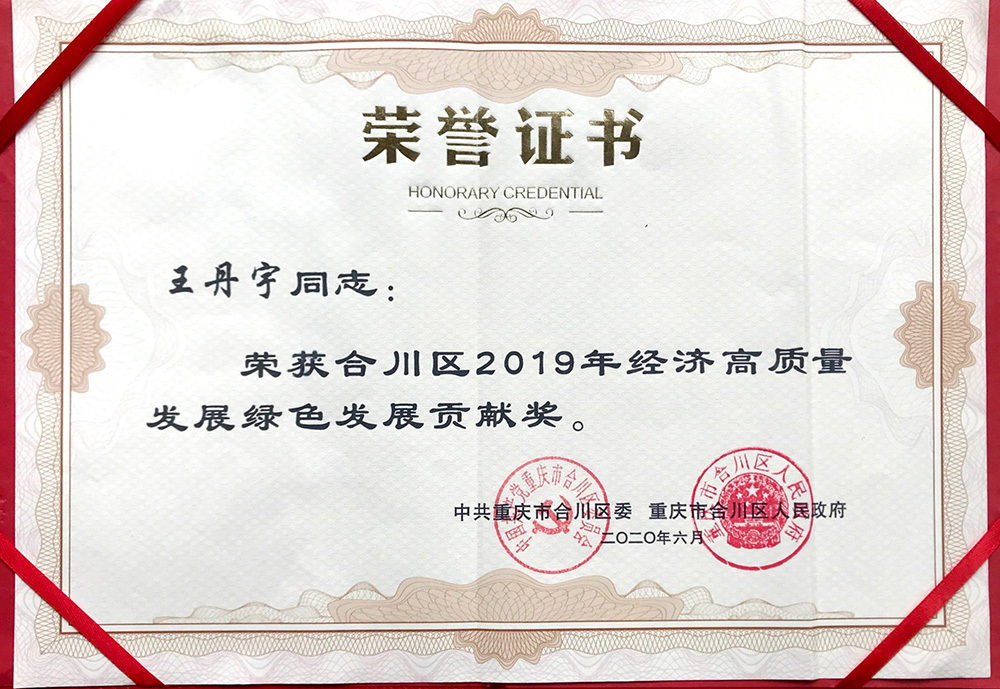 Wang Danyu Green Development Contribution Award Certificate