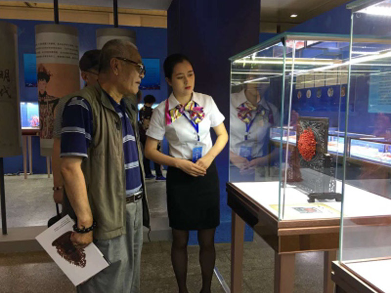 甘肃省博物馆举办一兰州首届珊瑚特展