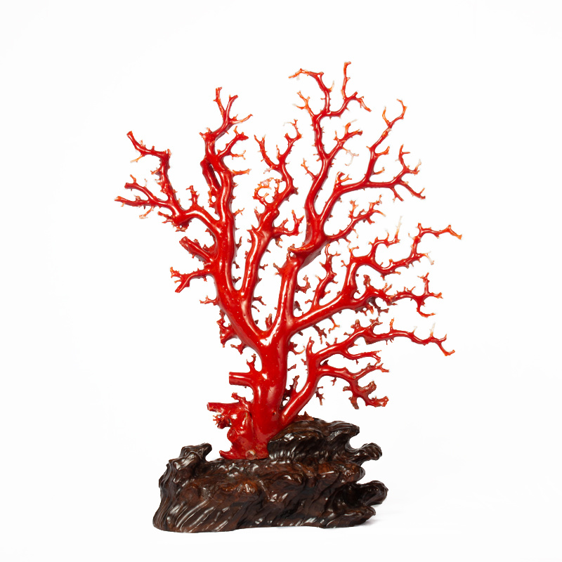阿卡红珊瑚树摆件