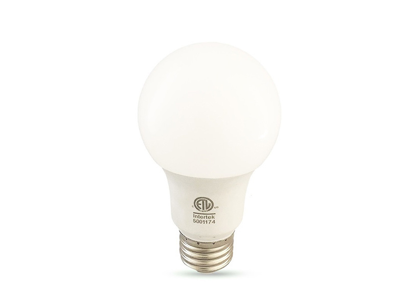 A19 Bulb(Economic Series)