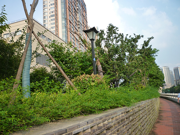 常州生態(tài)綠城建成老運河